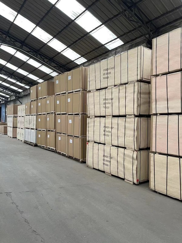 3 1/4 inch encalyptus triplex platte film geconfronteerd triplex 8x4 met vocht 6%-8%