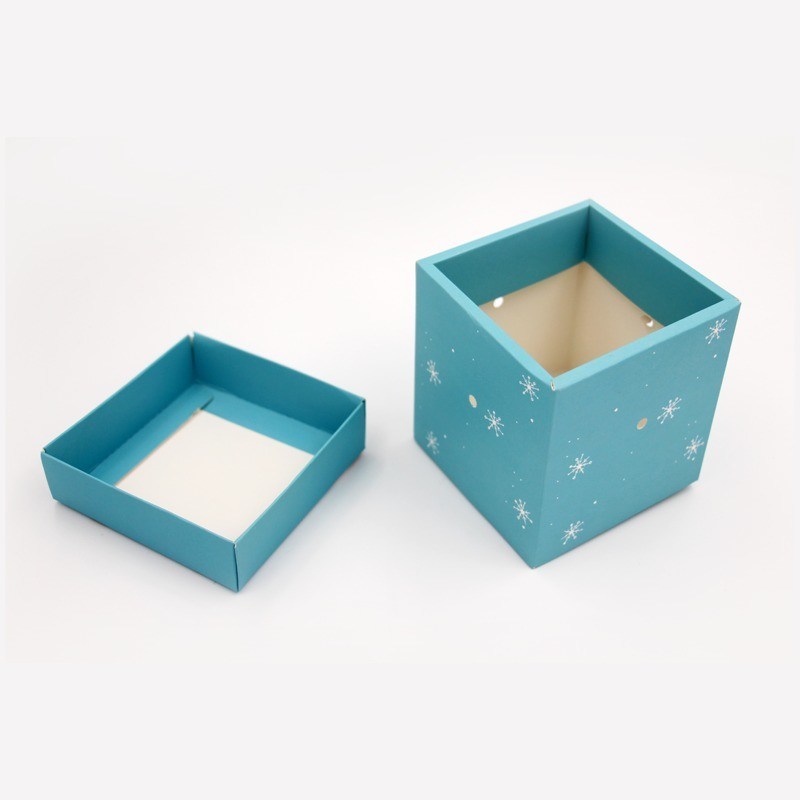 Eco-vriendelijke kerstvakantie Apple Gift Box Recyclebaar en CMYK 4 kleur Offest Printing