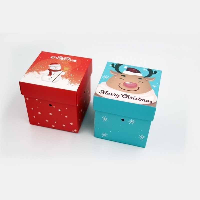 Eco-vriendelijke kerstvakantie Apple Gift Box Recyclebaar en CMYK 4 kleur Offest Printing